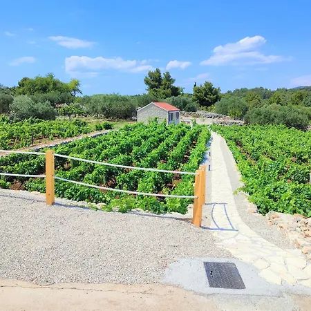 Ferienhaus Stone House In Vineyard Račišće