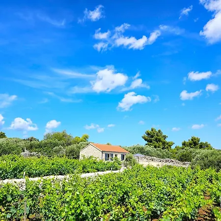 Stone House In Vineyard بيت للعطل Račišće