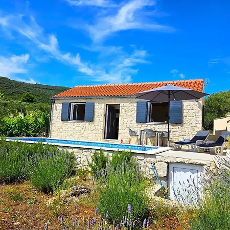 بيت للعطل Stone House In Vineyard Račišće