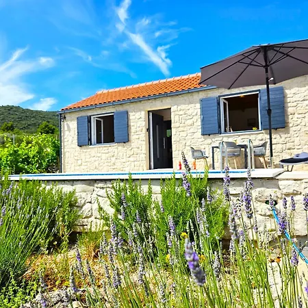 Stone House In Vineyard *