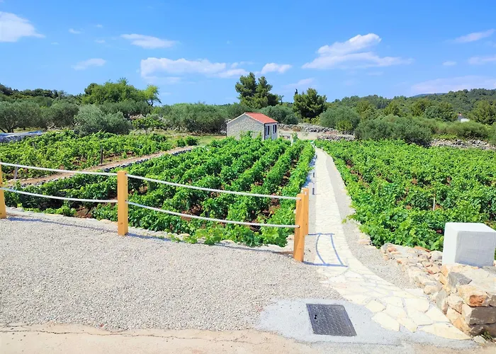 Holiday home Stone House In Vineyard Racisce