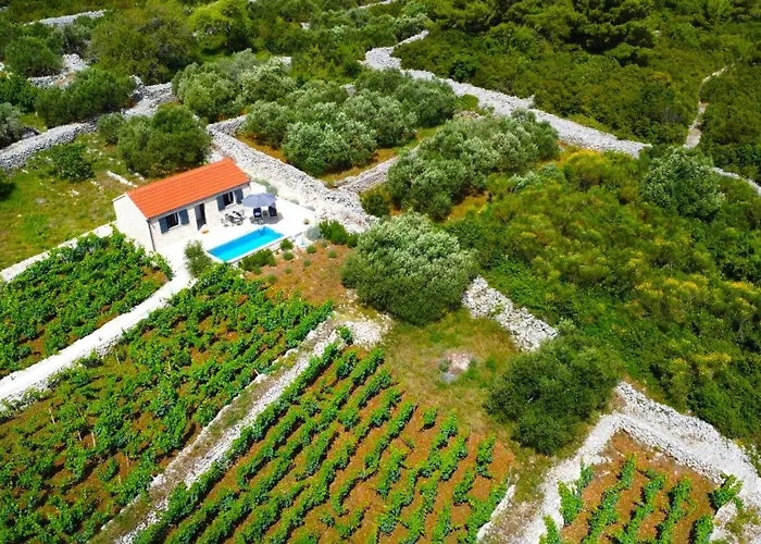 Stone House In Vineyard Holiday home
