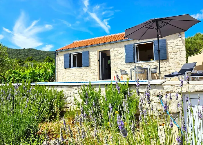 Stone House In Vineyard *